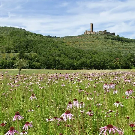 Belvilla By Oyo Montecchio Casa vacanze